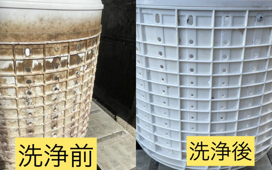 洗濯槽クリーニングサービスをご利用ください